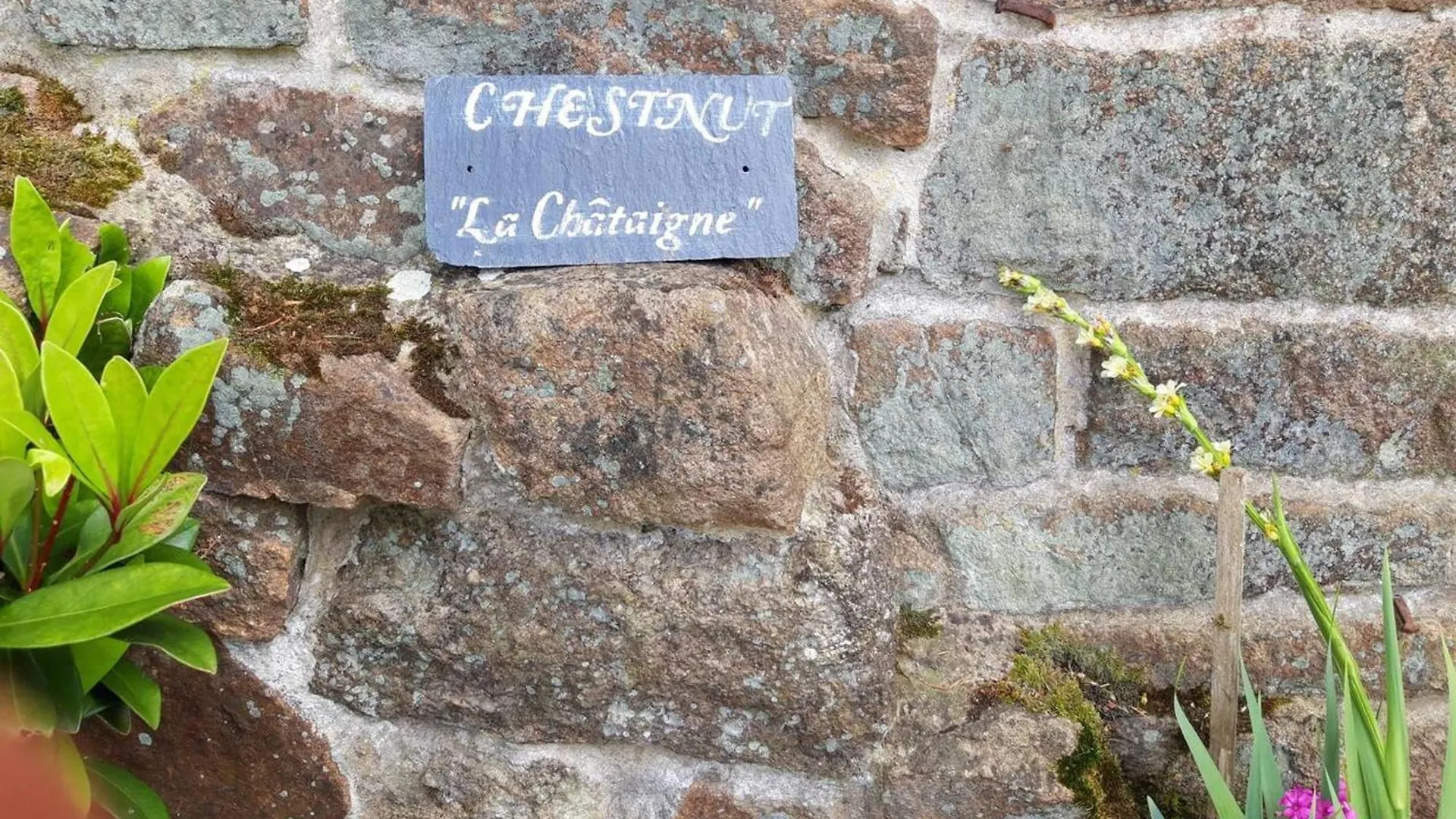 Maison Charmante A Langoelan Avec Piscine Partagee Holiday home